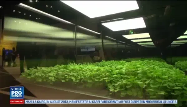 iLikeIT. Cele mai interesante gadgeturi din 2016: sera de bucatarie si robotul care se tranforma in animal de companie