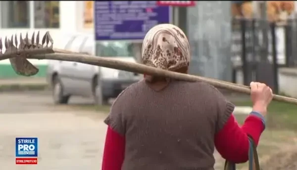 Statul se gandeste la batranii singuri si finanteaza proiecte pentru ingrijirea lor. Cum pot fi obtinuti 400.000 de euro