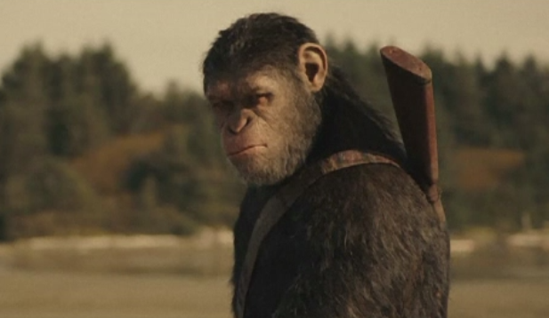 Primul trailer al peliculei "Planeta Maimutelor: Razboiul", dat publicitatii. Woody Harrelson se alatura distributiei