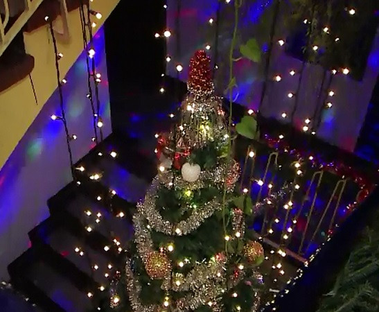 Un bloc din Iasi, vedeta sarbatorilor de Craciun pe internet. Cum au impodobit locatarii de la primul pana la ultimul etaj