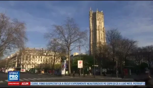 Invazie de sobolani la Paris. Rozatoarele sunt de 2 ori mai multe decat locuitorii, parcurile au fost inchise