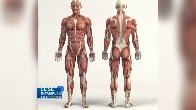 Cum puteti slabi fara sa reduceti masa musculara. Alimentele pe care trebuie sa le mentineti in regimul alimentar