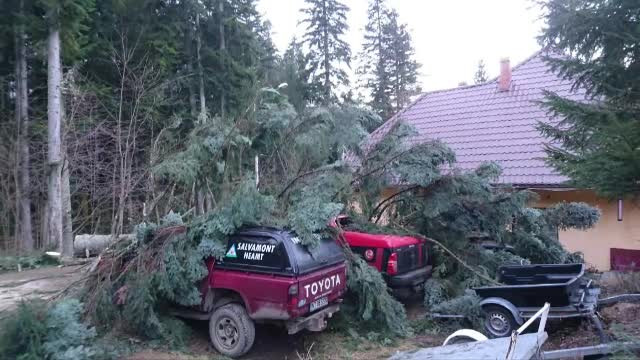 Serviciul Salvamont Neamt a ramas fara masini, in plin sezon turistic. Un brad a provocat pagube de 200.000 de lei