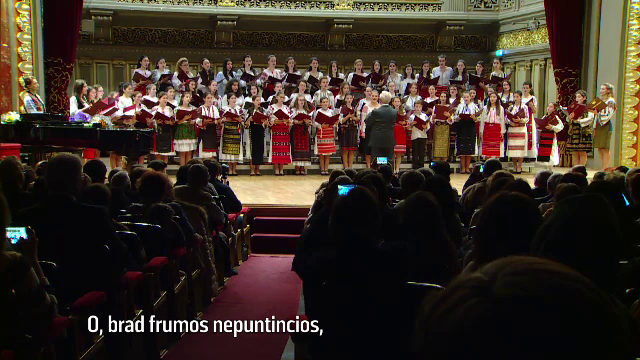 "O, brad frumos, neputincios/ Toporul tot te vede". Modul original in care au protestat copiii fata de defrisari, la Ateneu