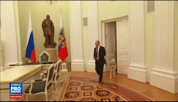 Vladimir Putin si-a adus unul dintre caini la o intalnire cu jurnalistii japonezi. Cum a reactionat Yume in fata strainilor