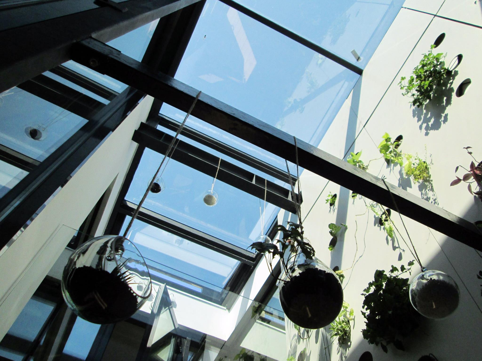 Echipa de romani care a construit case cu consum ZERO. Copacul care iti incarca telefonul de la soare