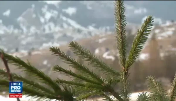 Pentru a petrecere Sarbatorile in acest loc, romanii si-au facut rezervare inca din 2015. Gazdele promit o vacanta de neuitat