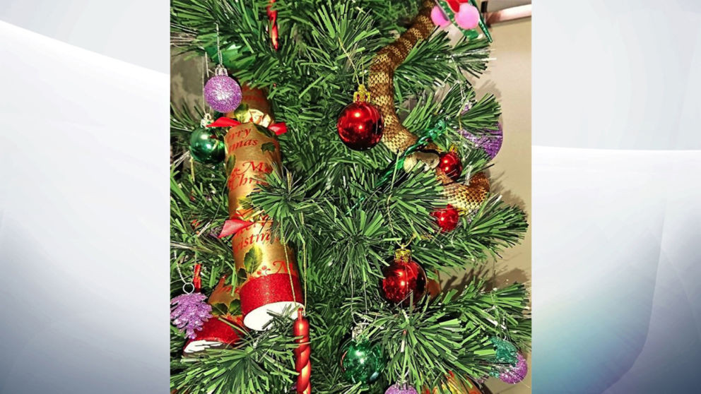 Socul avut de o australianca atunci cand a vazut ce i-a aparut in pomul de Craciun. Muscatura sarpelui ar fi fost fatala