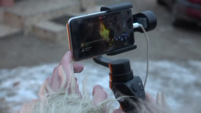 Taierea porcului, cu tot ritualul, transmisa live pe Facebook din Maramures. "Veniti la noi sa mancati traditional"