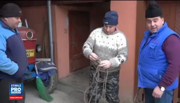 Taierea porcului, cu tot ritualul, transmisa live pe Facebook din Maramures. Veniti la noi sa mancati traditional