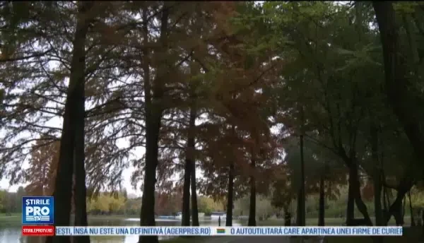 Horoscop 20 decembrie 2016. Scorpionii vor avea parte de cheltuieli neprevazute, pe de alta parte, Varsatorii primesc bani