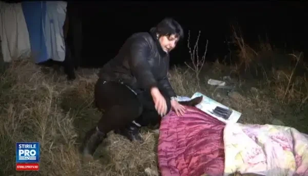 Manz lovit de masina, pazit de mama lui pe marginea drumului, in Dolj. O femeie i-a acordat ajutor si a chemat veterinarii