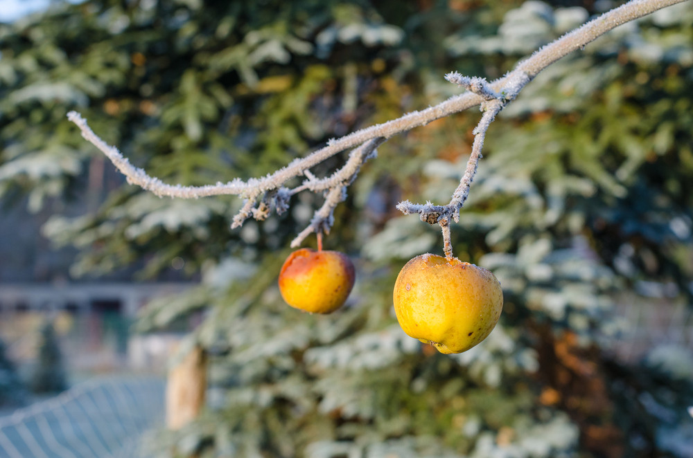 Vremea va fi inchisa in sud si in sud-est, iar soarele apare doar trecator. Cum va fi vremea in urmatoarele zile