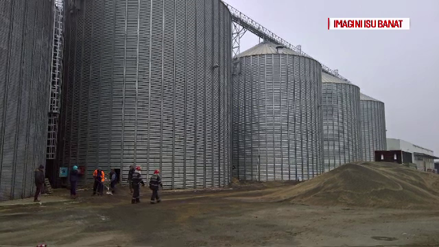 Tragedie in Timis, unde un adolescent de 16 ani a murit strivit de 700 de tone de cereale. Ce suspecteaza politistii