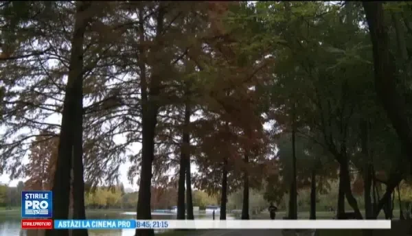 Horoscop 21 decembrie 2016. Gemenii primesc astazi bani, iar Pestii au parte de surprize