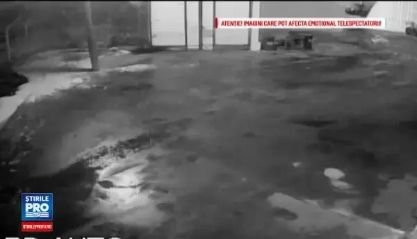 Tanara de 20 de ani din Bacau, injunghiata de fostul iubit la locul de munca. Atacul a fost surprins de camere. VIDEO