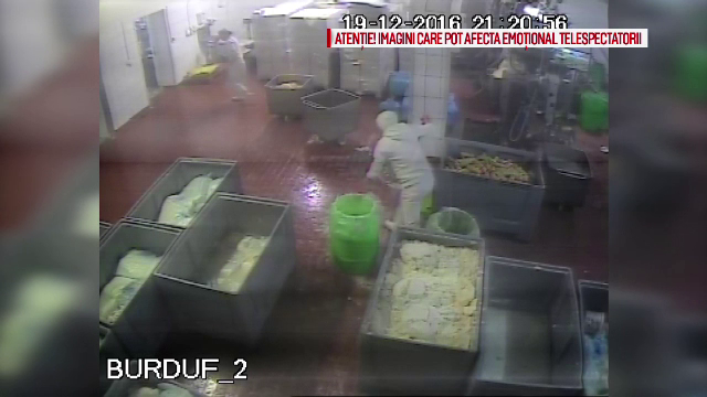 Detalii socante in cazul tinerei din Bacau injunghiata de fostul iubit. Politia stia ce intentii are barbatul