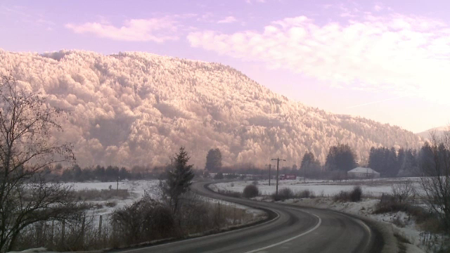 Pregatiri pentru masa de Craciun, in Bran. Cativa turisti din Israel nu ar mai pleca acasa: "Iubim mancarea voastra"