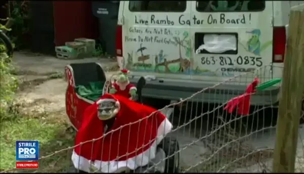 O americanca excentrica si-a luat un aligator drept animal de companie. Cum arata Rambo imbracat in haine de sezon