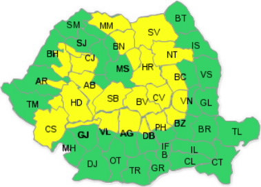 cod galben de ninsoare