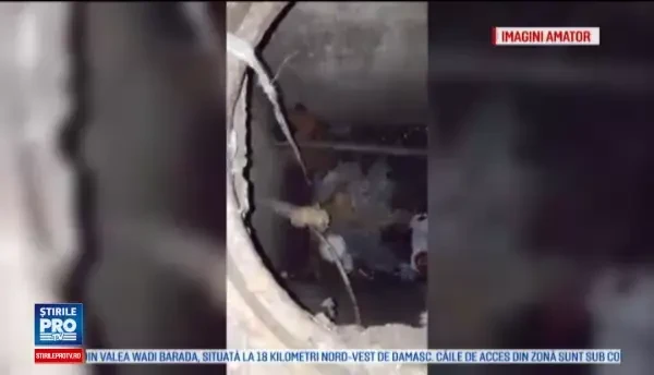 Mobilizare de forte in centrul Bacaului. Voluntari si pompieri s-au chinuit sa scoata o catelusa cazuta intr-un canal