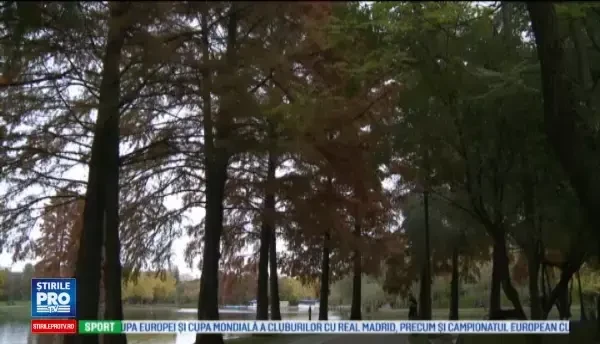 Horoscop 27 decembrie 2016. Gemenii au parte de o revedere cu persoana iubita, Racii primesc o veste mult asteptata