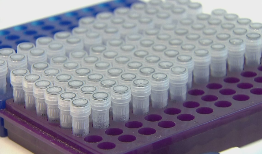 Scandal de proportii la o clinica din Olanda. 26 de femei, inseminate din greseala cu material genetic de la un barbat strain