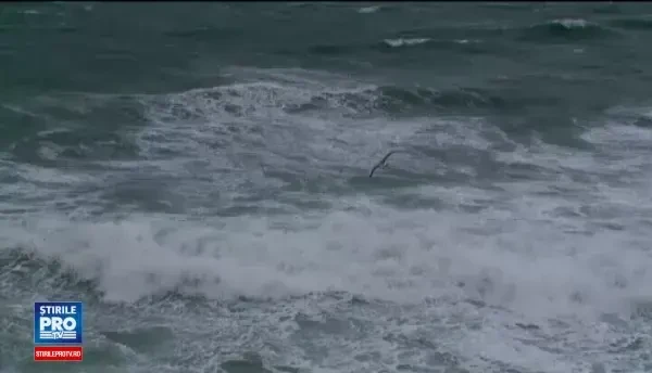 Furtuna la malul marii, operatiunile din porturi au fost suspendate. Oamenii au profitat de valuri pentru a face fotografii