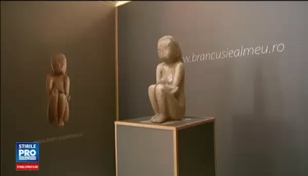 Sumele donate pentru Cumintenia Pamantului vor fi restituite pana la 31 decembrie 2017. Reactia avocatului proprietarilor