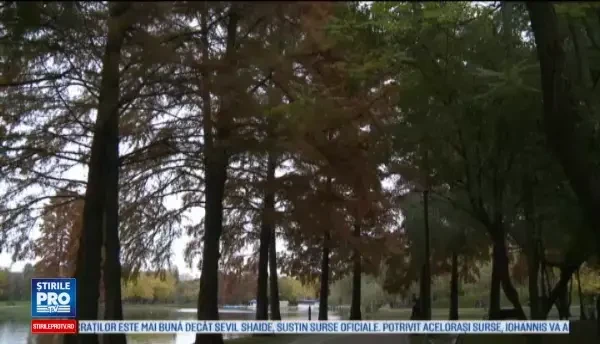 Horoscop 30 decembrie 2016. Berbecii au parte de reusite la final de an, iar Capricornii isi clarifica o situatie