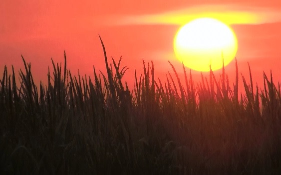 2016, un an de recorduri nedorite in ceea ce priveste clima. Cum au contribuit oamenii la efectele devastatoare