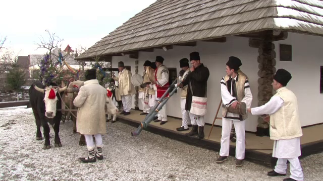 Galagie mare in curtea casei lui Ion Creanga. Cei mai vrednici gospodari din sat i-au trecut pagul aducand cu ei plugusorul