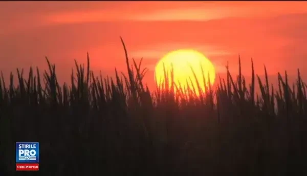 2016, un an de recorduri nedorite in ceea ce priveste clima. Cum au contribuit oamenii la efectele devastatoare