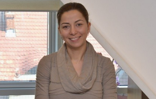 Mihaela Virginia Toader