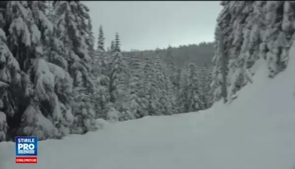 In Muntii Sureanu s-au amenajat noua partii de schi. Peisajul este unic, nu cred ca are termen de comparati