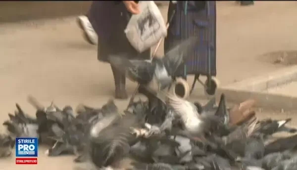 Pensiile s-ar putea mari cu 5,5% in urmatoarea luna. Cati bani vor primi cei care au pensiile sub 1.000 de lei