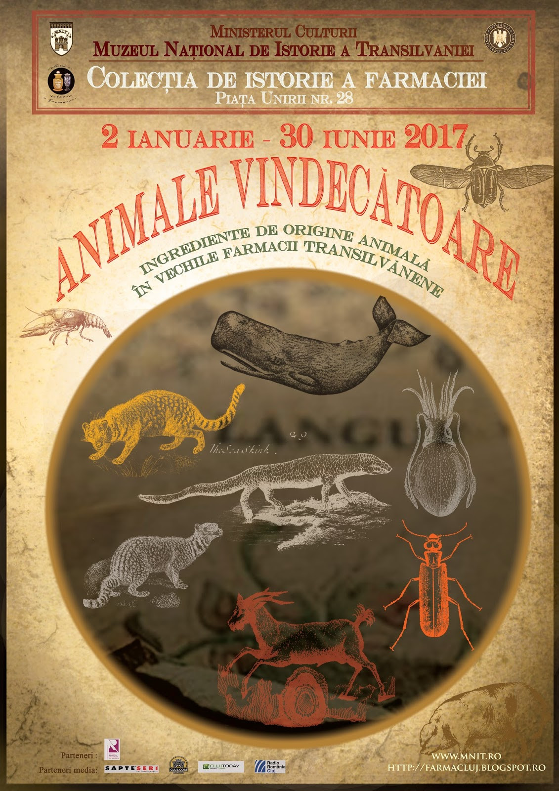 Expozitie temporara la Colectia de Istorie a Farmaciei. Povestea ingredientelor bizare folosite ca leacuri in farmacii