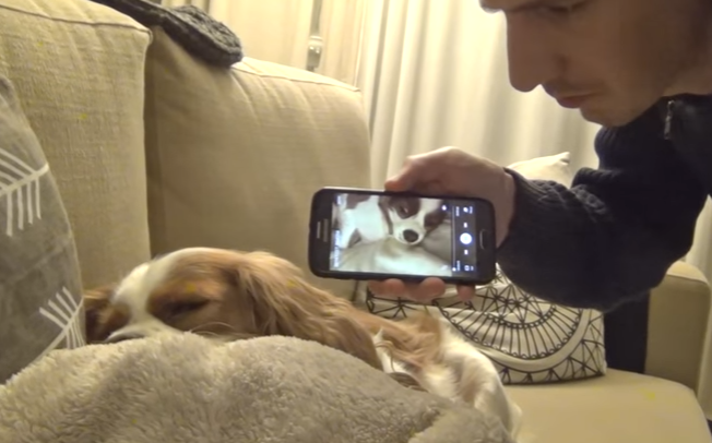 Si-a inregistrat cainele in timp ce sforaia si i-a pus inregistrarea cand dormea. Reactia animalului e savuroasa. VIDEO
