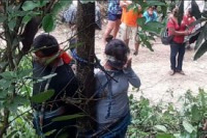 O femeie de 52 de ani a murit dupa ce a fost legata de un copac plin cu furnici veninoase. Ce acuzatii i s-au adus victimei