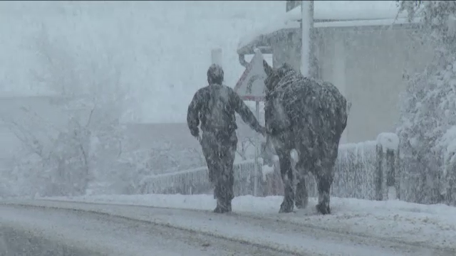 Urmeaza 3 zile de iarna crancena. Locul din Romania in care se vor resimti temperaturi de - 59 de grade Celsius