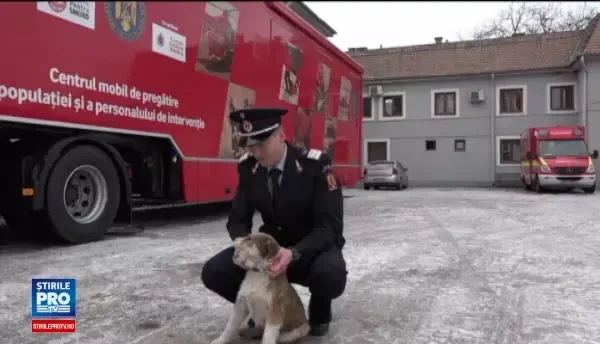 Un caine salvat dintr-un incendiu, de un pompier, a devenit mascota institutiei. Nimeni nu credea ca va supravietui
