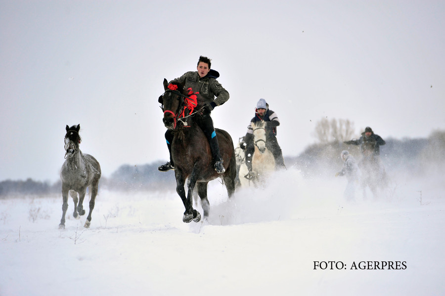 Caii, botezati in ziua de Boboteaza intr-o localitate din Prahova. Explicatia preotului din sat