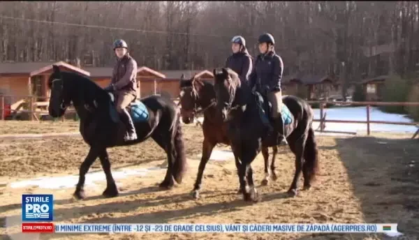 Politistii ieseni vor avea colegi noi, care vor intoarce toate privirile. Exemplarele au costat 20.000 de euro