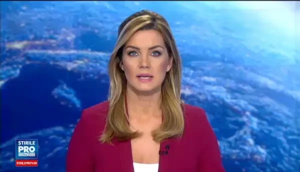 Doi bebelusi, de 3 si 9 luni, gasiti de catre politistii de frontiera din Timis ascunsi printre bagajele parintilor