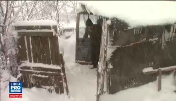 Batranii lipsiti de ajutor care supravietuiesc cu ultimele provizii, izolati de viscol. N-am prea mancat, vreau niste paine