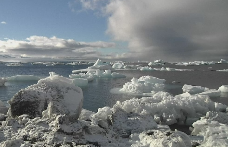 Un aisberg de 5.000 de kilometri patrati sta sa se desprinda de calota glaciara a Antarcticii. Impactul asupra naturii