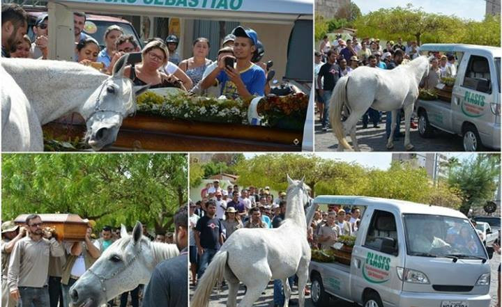 Momentul emotionant in care un cal isi lasa capul pe sicriul in care se afla stapanul sau si "plange", surprins de camera