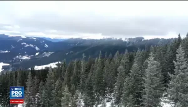 Resortul Transalpina ofera pasionatilor de munte un peisaj de poveste. Cat platiti pentru o noapte in acest colt de rai