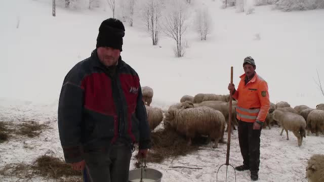 Satele romanesti au inghetat. Oamenii se chinuie sa reziste unor temperaturi care se intalnesc la Cercul Polar
