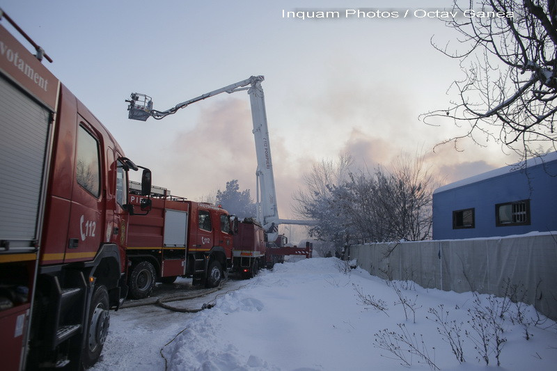 11 animale de la circul Globus, printre care 2 tigri siberieni, au murit in chinuri, intr-un incendiu. Reactia managerului
